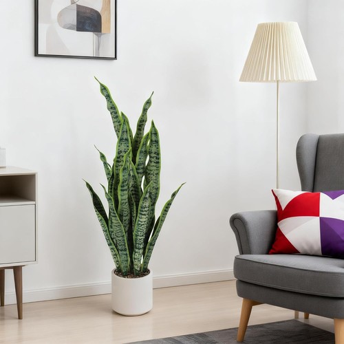 Fake snake plant - snake, 80cm