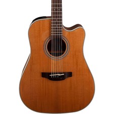 Takamine GD20CE-NS Dreadnought