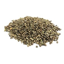 HEMP SEED 2Kg FISHING BAIT