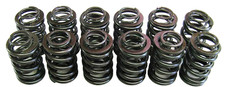 DOUBLE VALVE SPRING SET