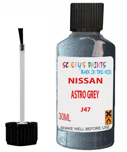 Paint for nissan - nv400, bus