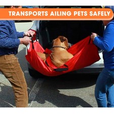 Emergency Pet Animal Dog