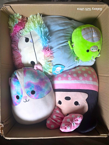 Genuine squishmallows bundle - genuine,