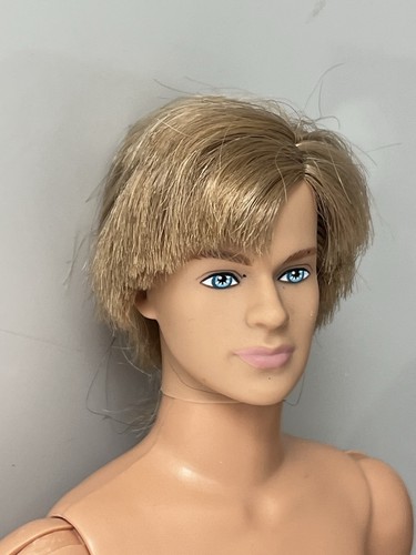 Barbie fashionistas ken doll - barbie,