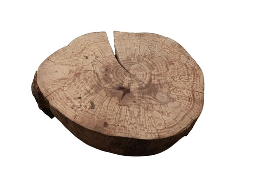 Live edge wood slice - live,