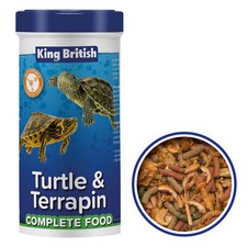 King British Turtle And