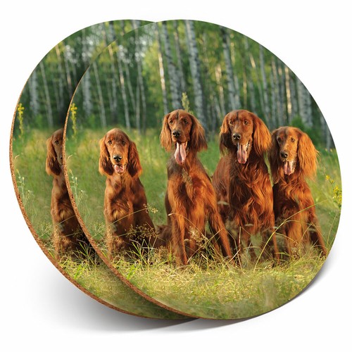 Coasters irish red - x,