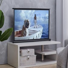 Projector Screen Matt White