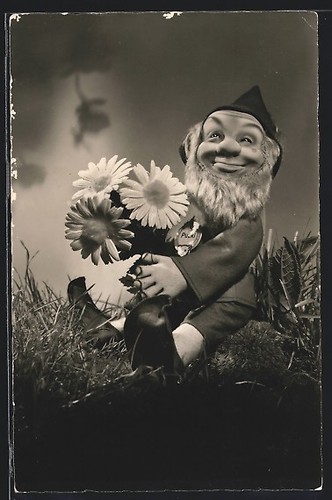 Steiff dwarf doll - , with