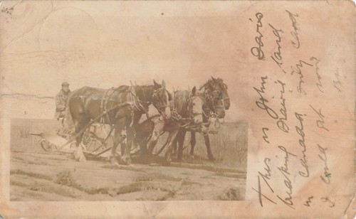 Postcard farmer - rp, &