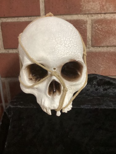 Halloween battery operated - battery,