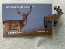 None RSPB Badges GS Collection