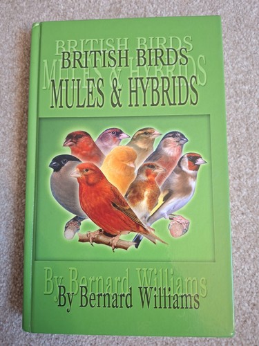 British birds mules and - british,