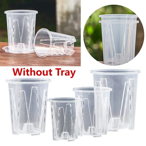 10pcs clear plastic orchid - clear,