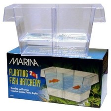 Marina Breeding & Fry Trap