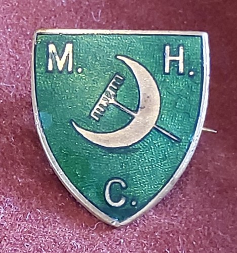 Vintage enamel shield - vintage,