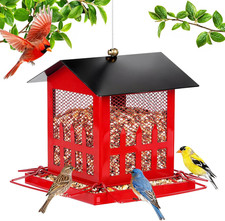 Bird Feeder, Large Bird