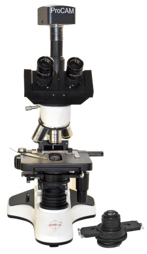 Phase contrast microscope - phase,