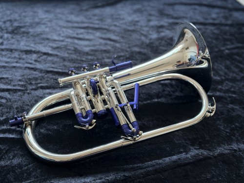 Ray farr signature 7in - signature,