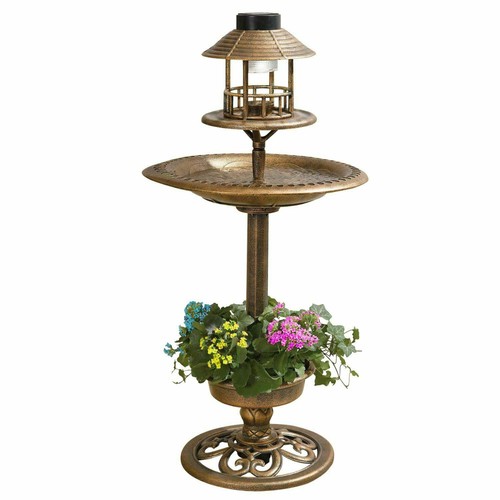 Bird bath feeder - bath,