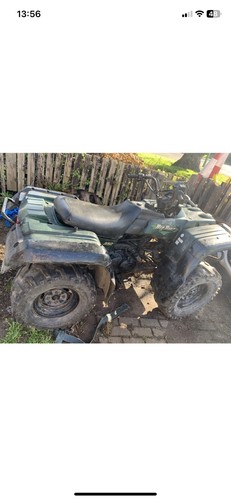 Yamaha big bear - bear, all