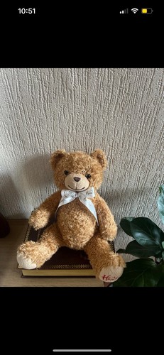 Hamleys teddy bear - teddy,