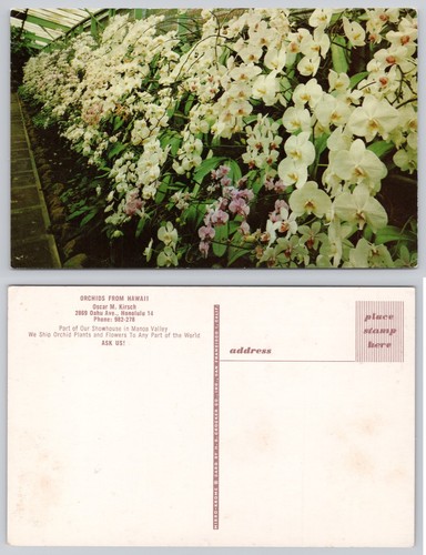 Vintage mirro krome - mirro-krome, postcard
