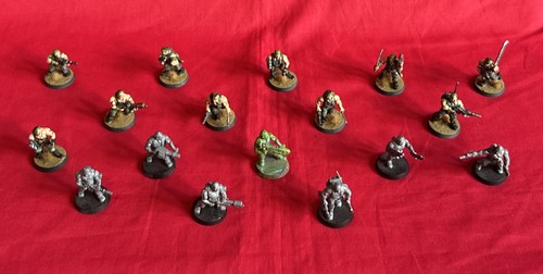 Catachan jungle fighters - catachan,