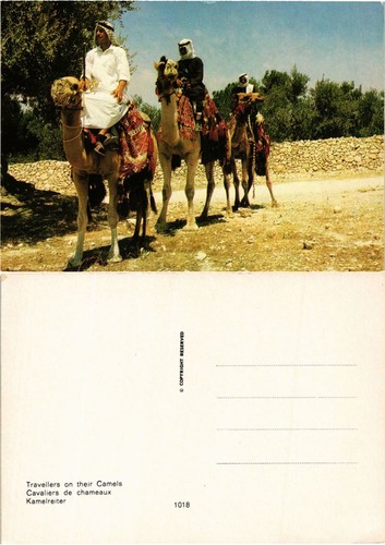 Cpm israel camel riders - ak,