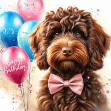 Single Luxury Chocolate Cockapoo Birthday/Greeting Card Dog Gift/Present BAL