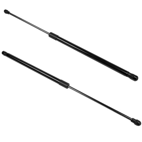 Rear tailgate gas - 2x,