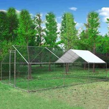 Chicken run cage walk pet - chicken, hen