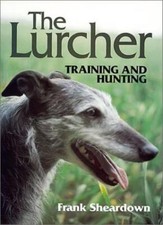 The lurcher training and - lurcher:,
