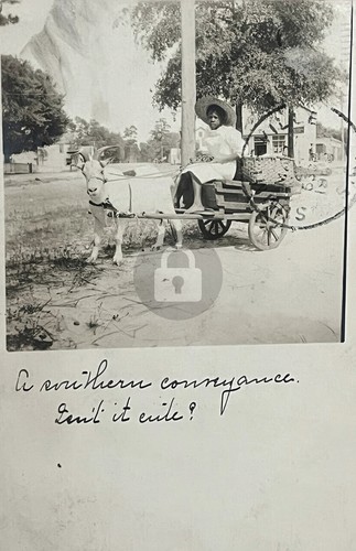 1908 summerville black - 1908, sc