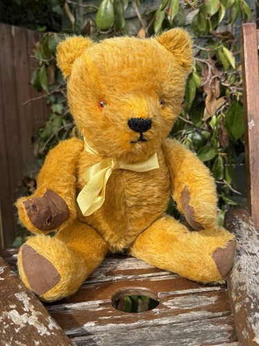 Vintage english teddy - vintage,