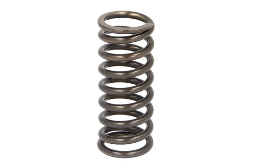 Valve spring fits - daf, cf,