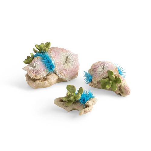 Biorb plate coral button - biorb,