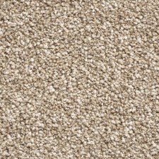 Brooklyn Elite Domestic