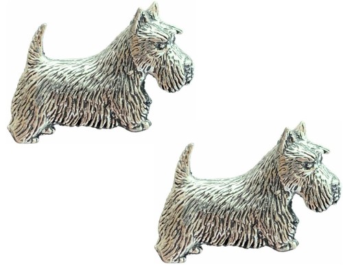 Scottish terrier dog - scottish,