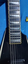 Pro electric guitar - pro,