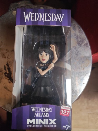 Wednesday addams - wednesday, in