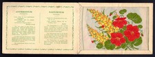 KENSITAS SILK FLOWERS  Postcard Size (Plain Back) - Antirrhinum ~ Nasturtium