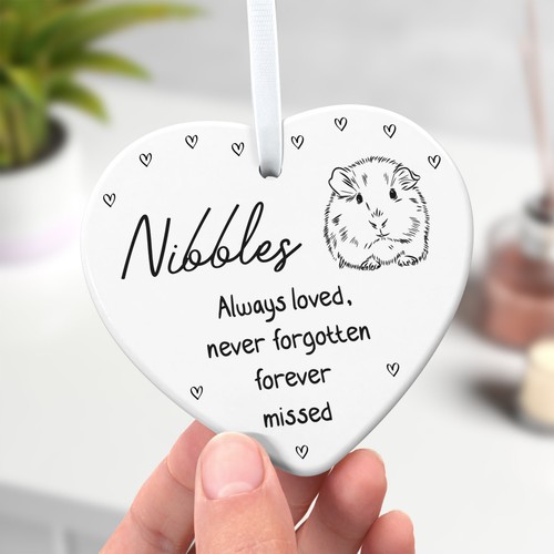 Guinea pig memorial plaque - memorial,