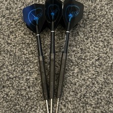 Raymond Van Barneveld Unicorn