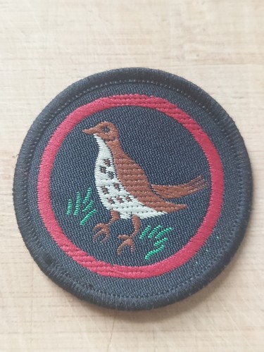 Girlguiding girl guide - uk,