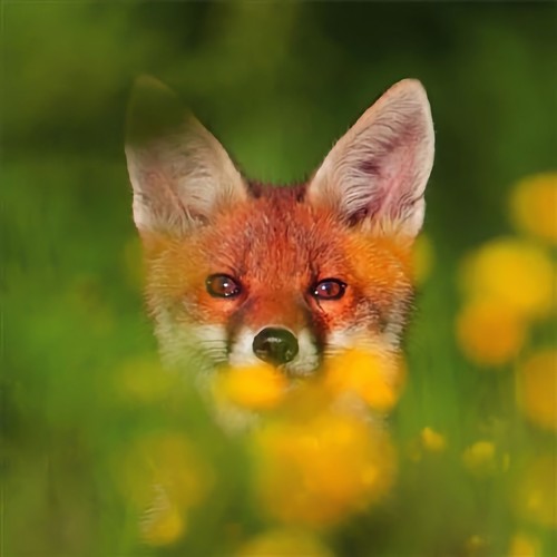 Wwf red fox - wwf, card