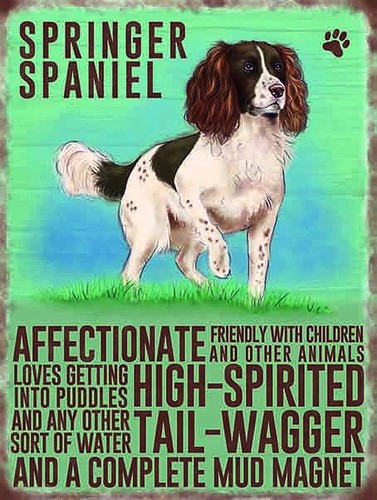 Springer spaniel aluminium - ,