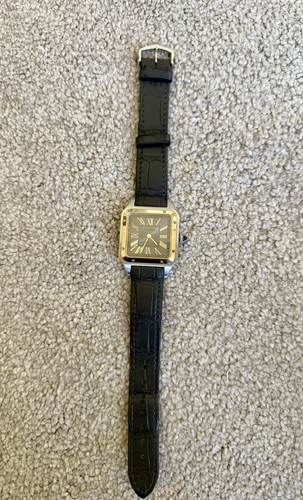 Cartier santos dumont - cartier, large
