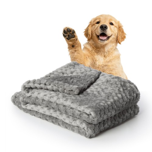 Premium reversible dog - dog, blanket