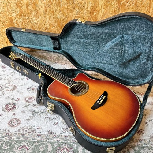 Yamaha apx 10s electric - apx-10s,